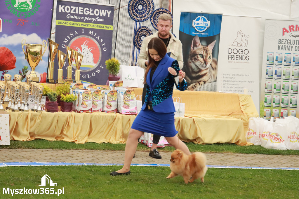 Fotorelacja II: Wystawa Psów Rasowych 2025 – Gniazdów Gmina Koziegłowy