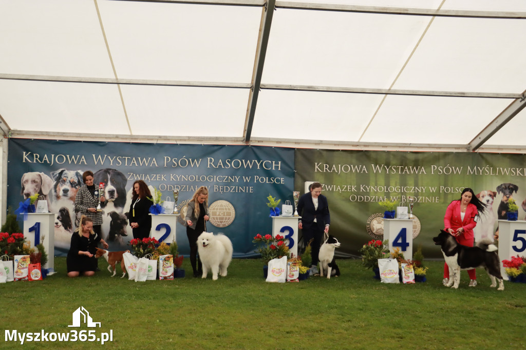 Fotorelacja II: Wystawa Psów Rasowych 2025 – Gniazdów Gmina Koziegłowy