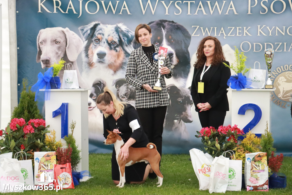 Fotorelacja II: Wystawa Psów Rasowych 2025 – Gniazdów Gmina Koziegłowy