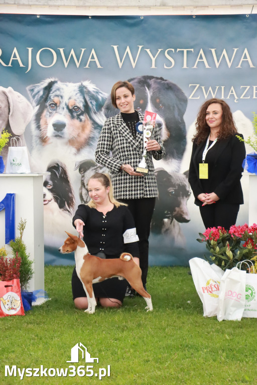 Fotorelacja II: Wystawa Psów Rasowych 2025 – Gniazdów Gmina Koziegłowy