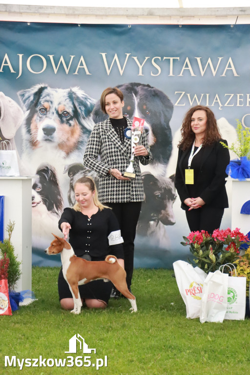 Fotorelacja II: Wystawa Psów Rasowych 2025 – Gniazdów Gmina Koziegłowy