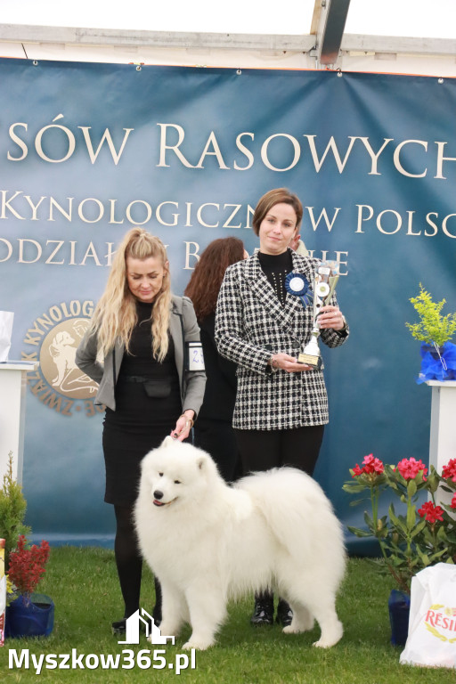 Fotorelacja II: Wystawa Psów Rasowych 2025 – Gniazdów Gmina Koziegłowy