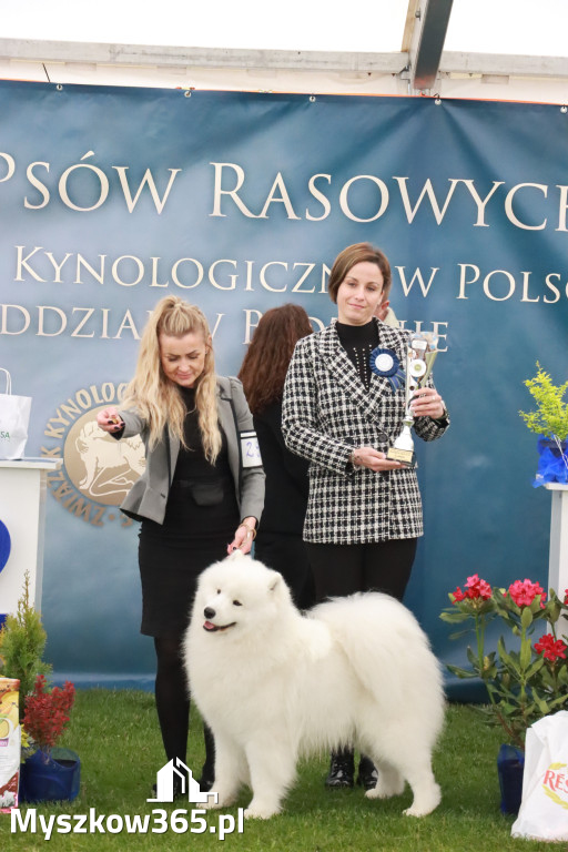 Fotorelacja II: Wystawa Psów Rasowych 2025 – Gniazdów Gmina Koziegłowy