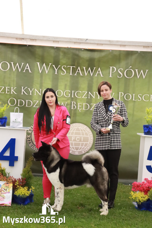 Fotorelacja II: Wystawa Psów Rasowych 2025 – Gniazdów Gmina Koziegłowy