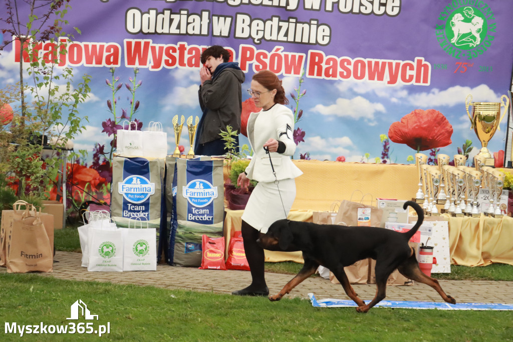 Fotorelacja II: Wystawa Psów Rasowych 2025 – Gniazdów Gmina Koziegłowy