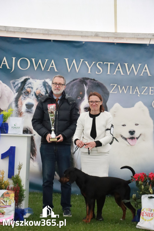 Fotorelacja II: Wystawa Psów Rasowych 2025 – Gniazdów Gmina Koziegłowy