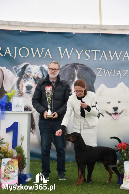Fotorelacja II: Wystawa Psów Rasowych 2025 – Gniazdów Gmina Koziegłowy
