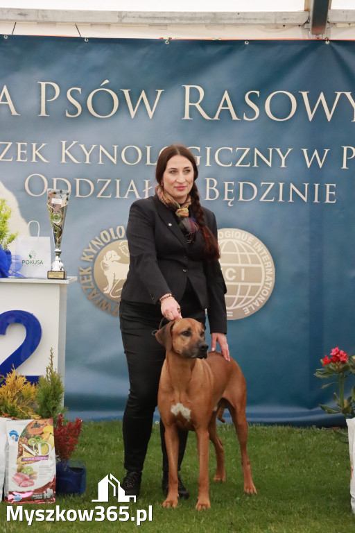 Fotorelacja II: Wystawa Psów Rasowych 2025 – Gniazdów Gmina Koziegłowy