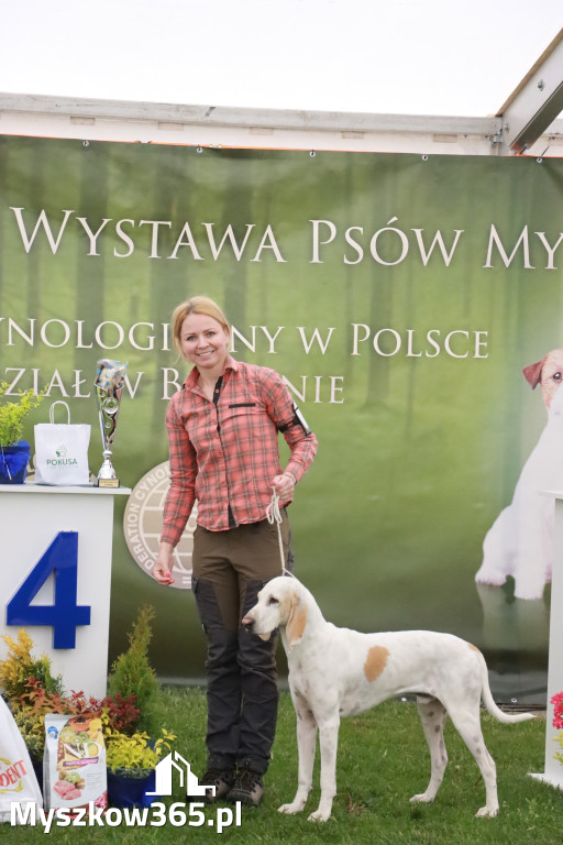 Fotorelacja II: Wystawa Psów Rasowych 2025 – Gniazdów Gmina Koziegłowy