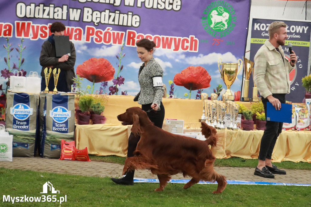 Fotorelacja II: Wystawa Psów Rasowych 2025 – Gniazdów Gmina Koziegłowy