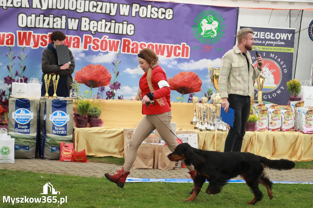 Fotorelacja II: Wystawa Psów Rasowych 2025 – Gniazdów Gmina Koziegłowy