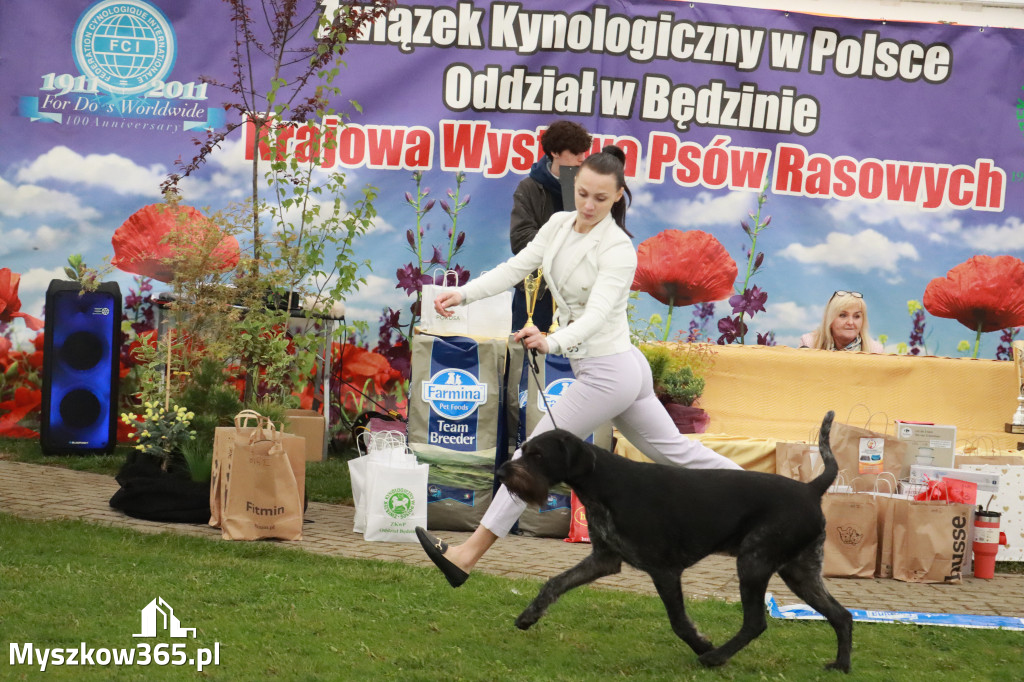 Fotorelacja II: Wystawa Psów Rasowych 2025 – Gniazdów Gmina Koziegłowy