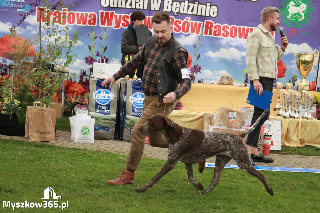 Fotorelacja II: Wystawa Psów Rasowych 2025 – Gniazdów Gmina Koziegłowy