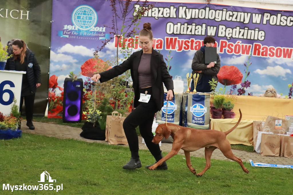 Fotorelacja II: Wystawa Psów Rasowych 2025 – Gniazdów Gmina Koziegłowy