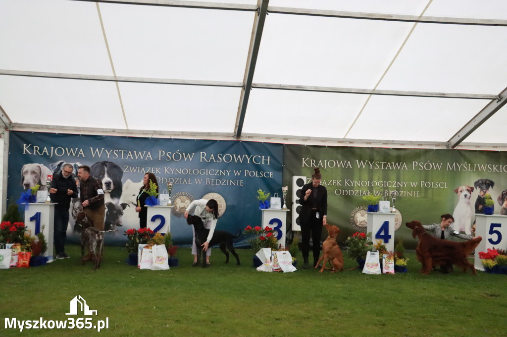 Fotorelacja II: Wystawa Psów Rasowych 2025 – Gniazdów Gmina Koziegłowy