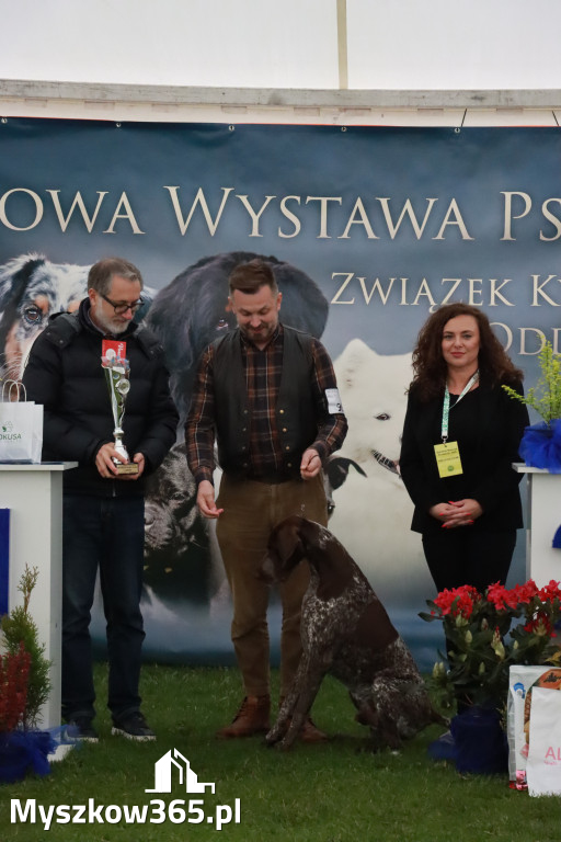 Fotorelacja II: Wystawa Psów Rasowych 2025 – Gniazdów Gmina Koziegłowy
