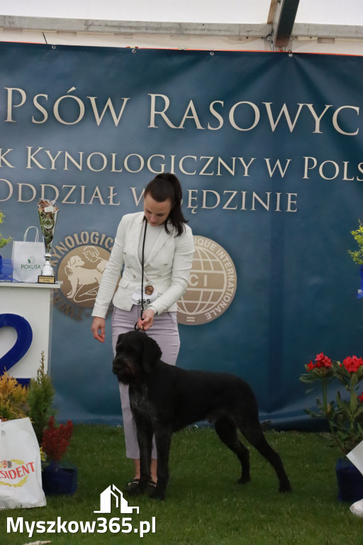 Fotorelacja II: Wystawa Psów Rasowych 2025 – Gniazdów Gmina Koziegłowy