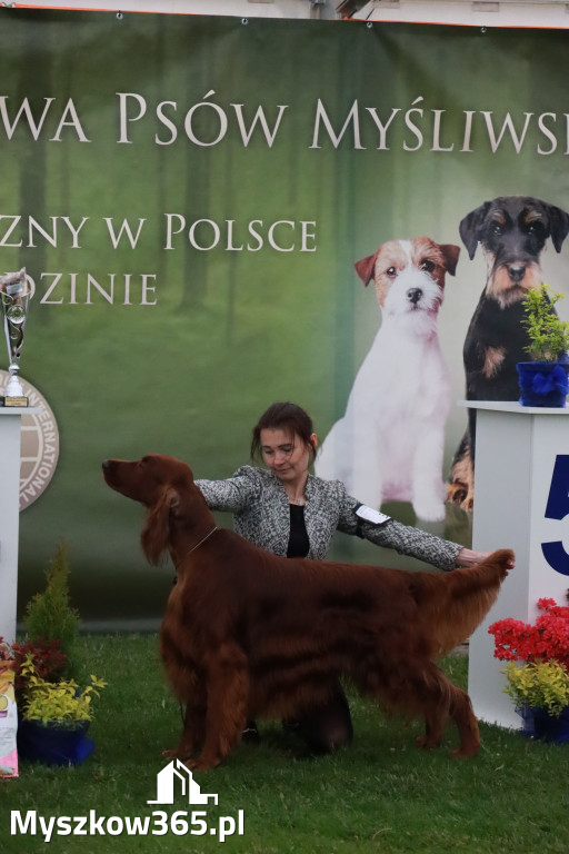 Fotorelacja II: Wystawa Psów Rasowych 2025 – Gniazdów Gmina Koziegłowy