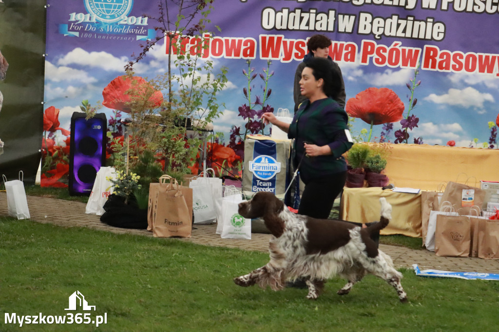 Fotorelacja II: Wystawa Psów Rasowych 2025 – Gniazdów Gmina Koziegłowy