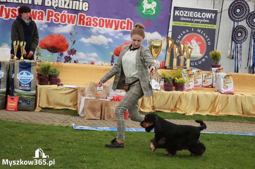 Fotorelacja II: Wystawa Psów Rasowych 2025 – Gniazdów Gmina Koziegłowy