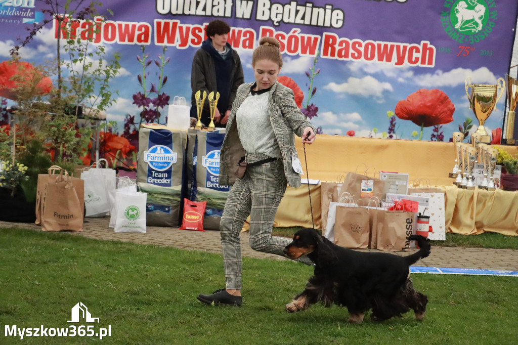 Fotorelacja II: Wystawa Psów Rasowych 2025 – Gniazdów Gmina Koziegłowy