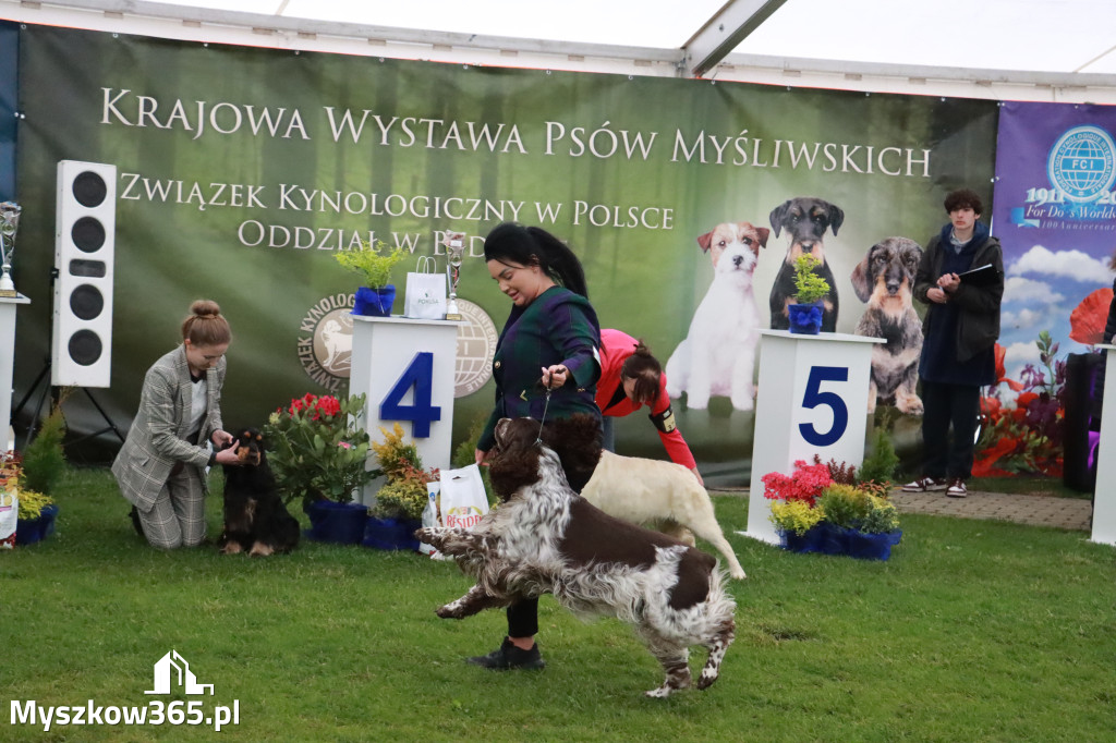 Fotorelacja II: Wystawa Psów Rasowych 2025 – Gniazdów Gmina Koziegłowy