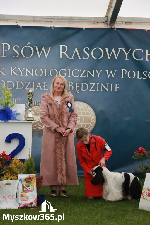 Fotorelacja II: Wystawa Psów Rasowych 2025 – Gniazdów Gmina Koziegłowy