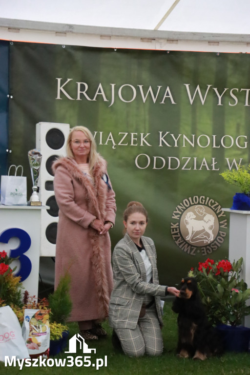 Fotorelacja II: Wystawa Psów Rasowych 2025 – Gniazdów Gmina Koziegłowy
