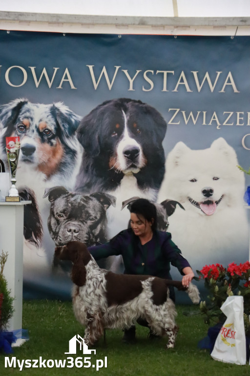 Fotorelacja II: Wystawa Psów Rasowych 2025 – Gniazdów Gmina Koziegłowy