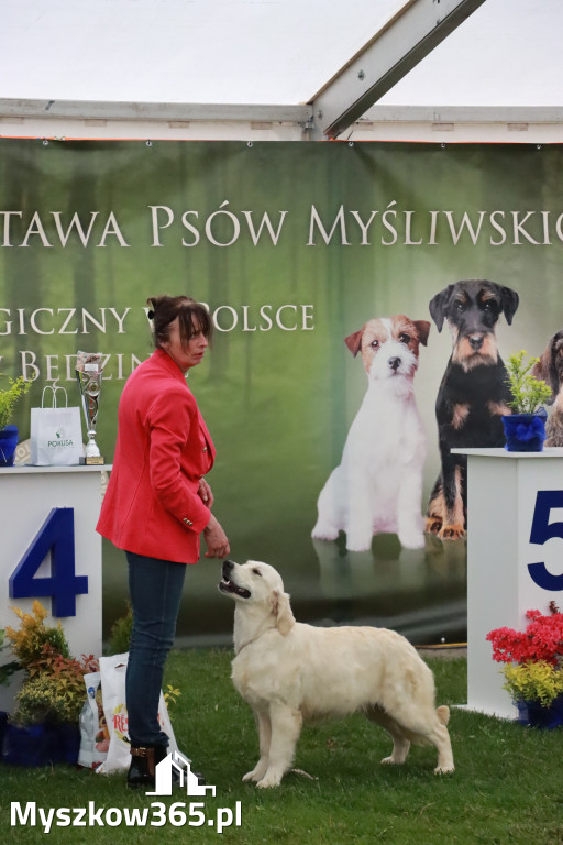 Fotorelacja II: Wystawa Psów Rasowych 2025 – Gniazdów Gmina Koziegłowy