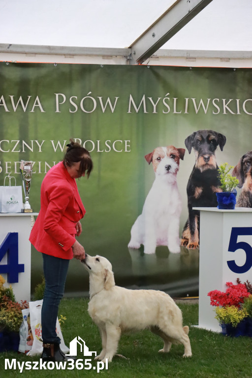 Fotorelacja II: Wystawa Psów Rasowych 2025 – Gniazdów Gmina Koziegłowy