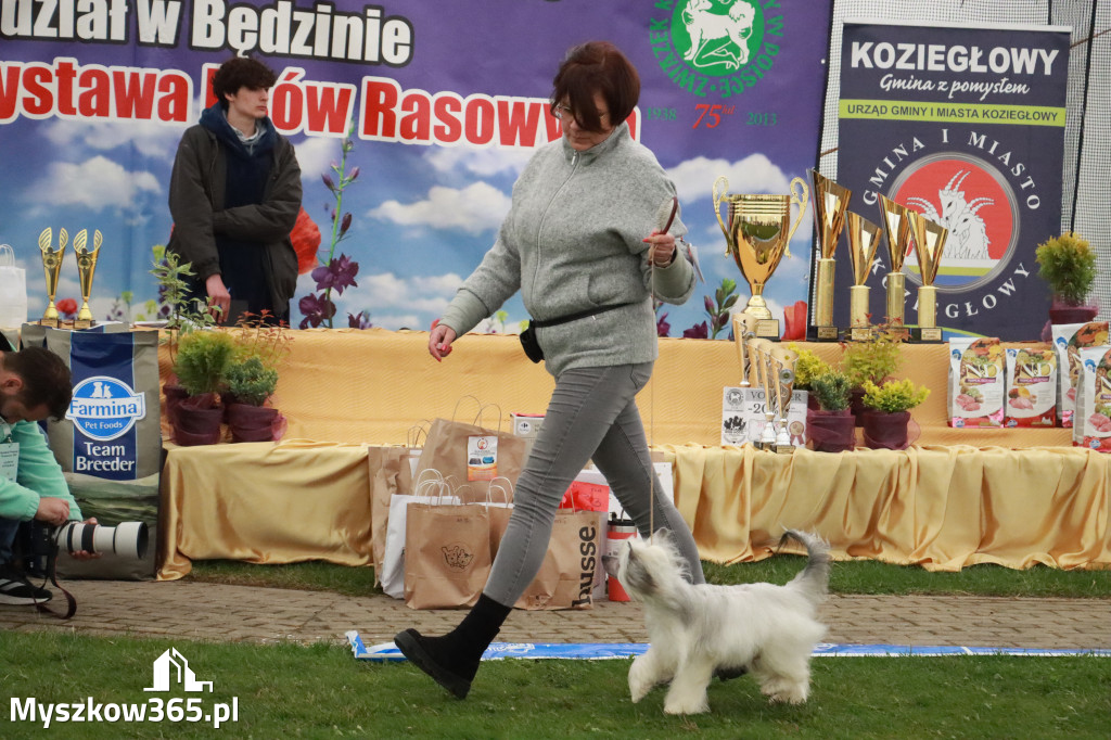 Fotorelacja II: Wystawa Psów Rasowych 2025 – Gniazdów Gmina Koziegłowy