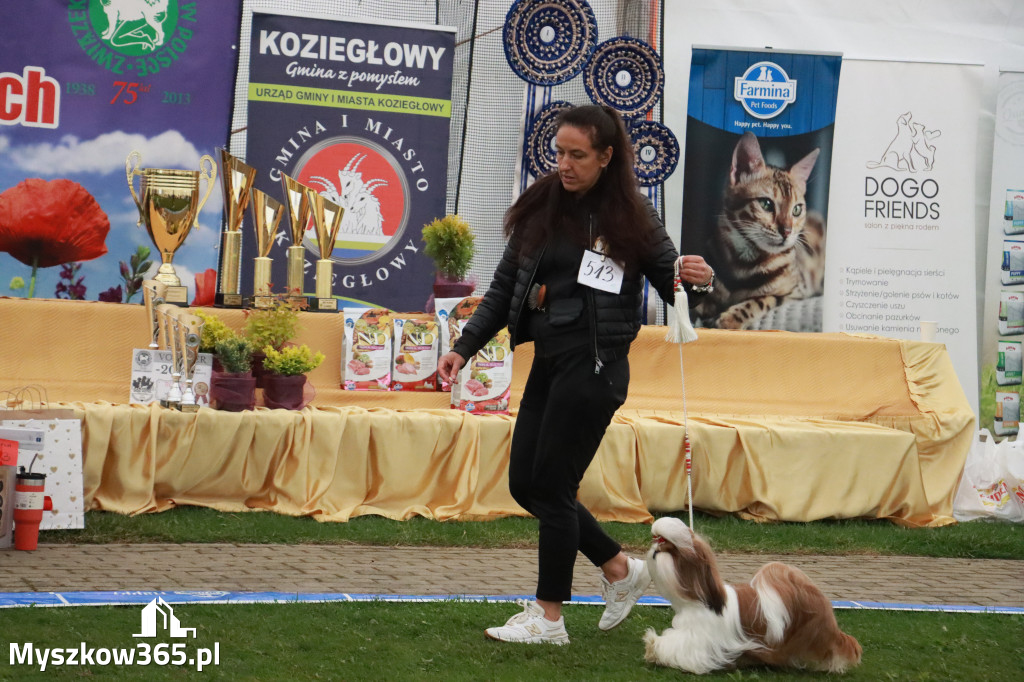 Fotorelacja II: Wystawa Psów Rasowych 2025 – Gniazdów Gmina Koziegłowy