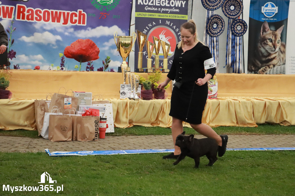 Fotorelacja II: Wystawa Psów Rasowych 2025 – Gniazdów Gmina Koziegłowy