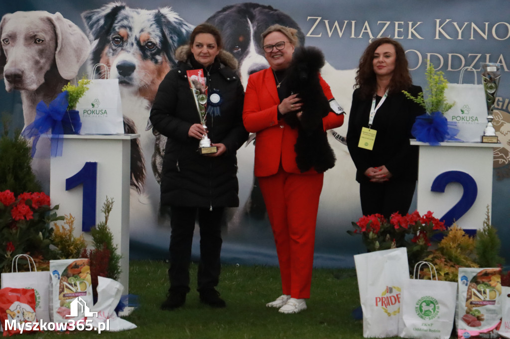 Fotorelacja II: Wystawa Psów Rasowych 2025 – Gniazdów Gmina Koziegłowy