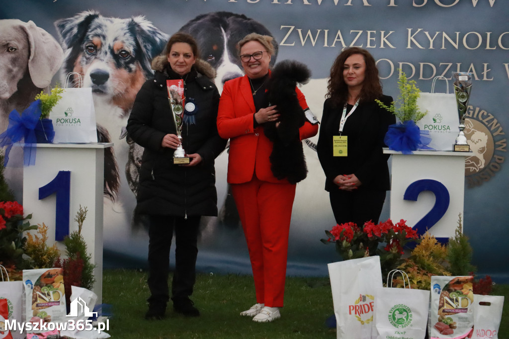 Fotorelacja II: Wystawa Psów Rasowych 2025 – Gniazdów Gmina Koziegłowy