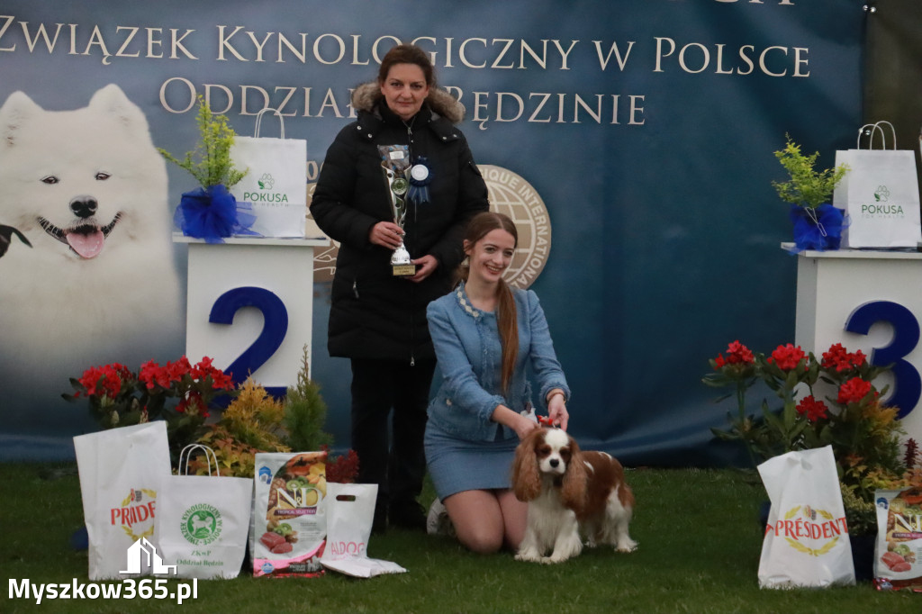 Fotorelacja II: Wystawa Psów Rasowych 2025 – Gniazdów Gmina Koziegłowy
