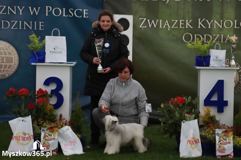 Fotorelacja II: Wystawa Psów Rasowych 2025 – Gniazdów Gmina Koziegłowy