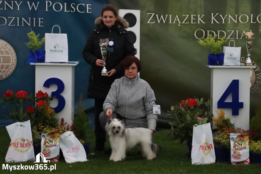 Fotorelacja II: Wystawa Psów Rasowych 2025 – Gniazdów Gmina Koziegłowy