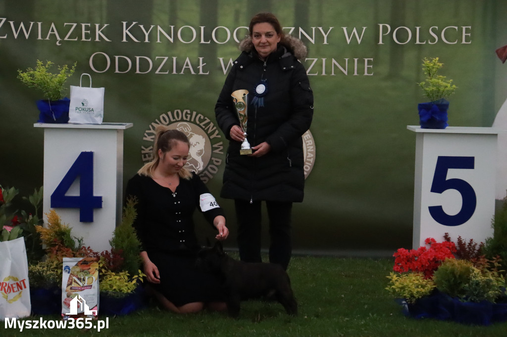 Fotorelacja II: Wystawa Psów Rasowych 2025 – Gniazdów Gmina Koziegłowy