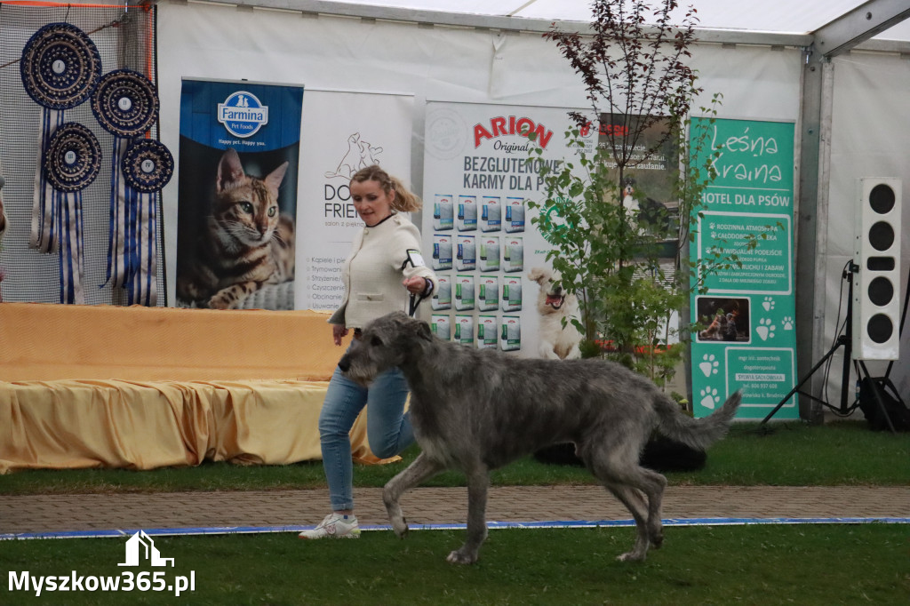 Fotorelacja II: Wystawa Psów Rasowych 2025 – Gniazdów Gmina Koziegłowy