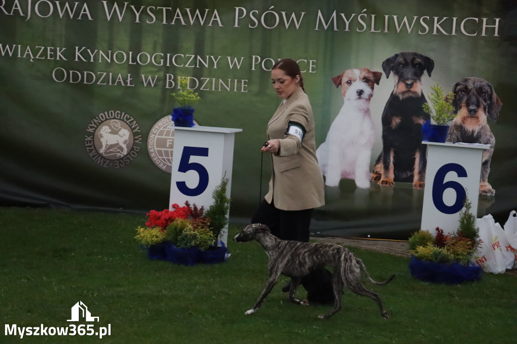 Fotorelacja II: Wystawa Psów Rasowych 2025 – Gniazdów Gmina Koziegłowy