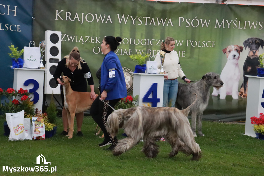 Fotorelacja II: Wystawa Psów Rasowych 2025 – Gniazdów Gmina Koziegłowy