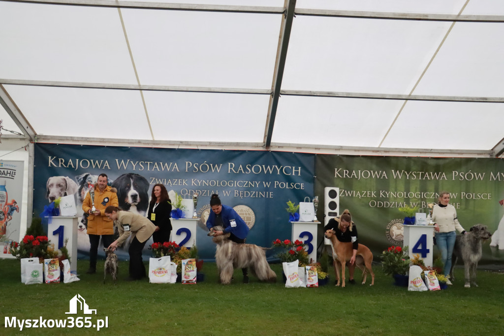 Fotorelacja II: Wystawa Psów Rasowych 2025 – Gniazdów Gmina Koziegłowy