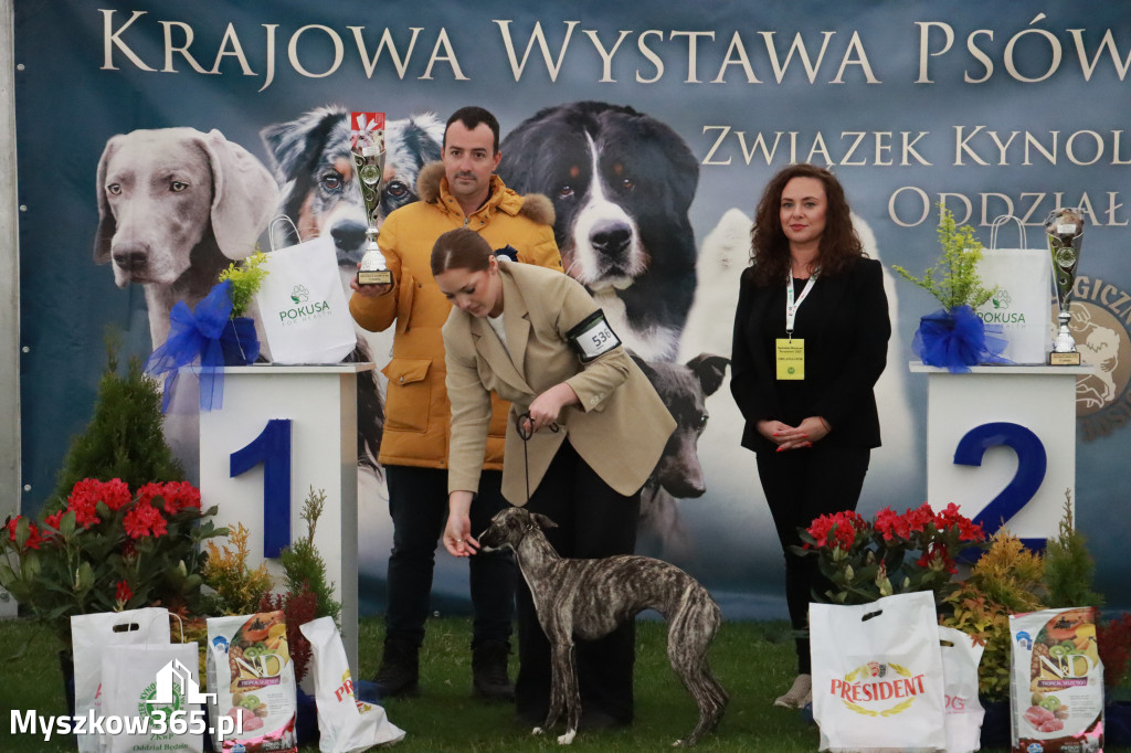 Fotorelacja II: Wystawa Psów Rasowych 2025 – Gniazdów Gmina Koziegłowy