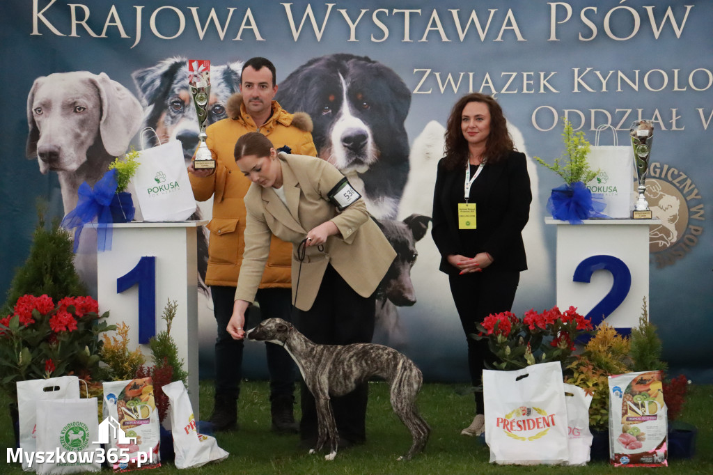 Fotorelacja II: Wystawa Psów Rasowych 2025 – Gniazdów Gmina Koziegłowy