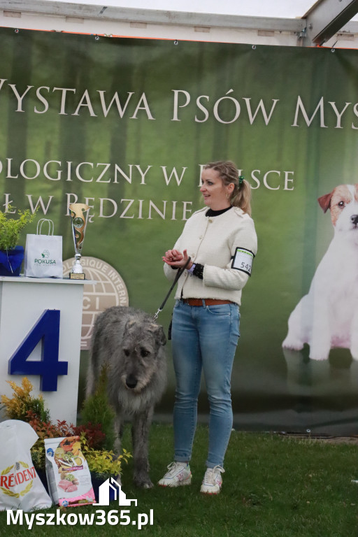 Fotorelacja II: Wystawa Psów Rasowych 2025 – Gniazdów Gmina Koziegłowy