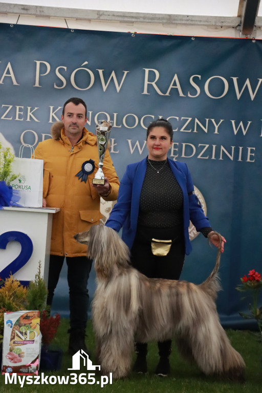 Fotorelacja II: Wystawa Psów Rasowych 2025 – Gniazdów Gmina Koziegłowy