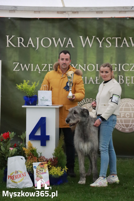 Fotorelacja II: Wystawa Psów Rasowych 2025 – Gniazdów Gmina Koziegłowy
