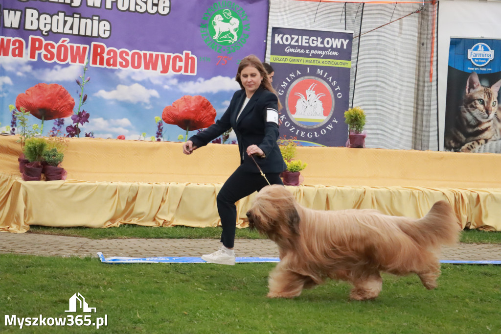 Fotorelacja II: Wystawa Psów Rasowych 2025 – Gniazdów Gmina Koziegłowy